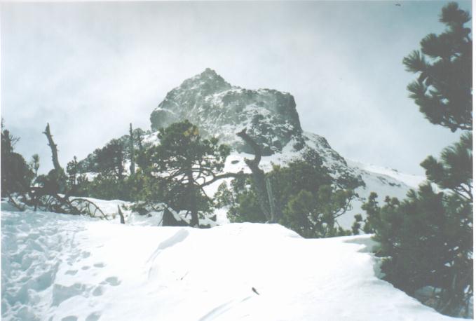 Nieve en el Picacho de Neva
